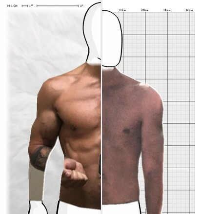 Torso Comparison