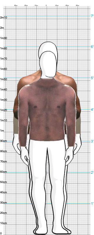 Full Size Comparison