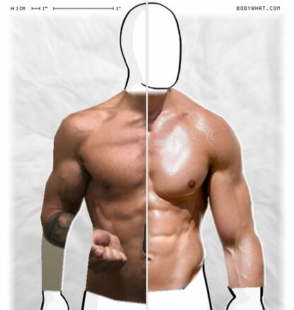 Torso Comparison