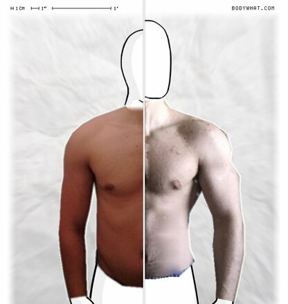 Torso Comparison