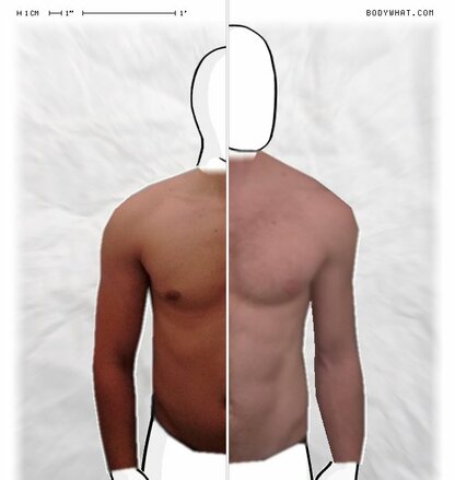 Torso Comparison