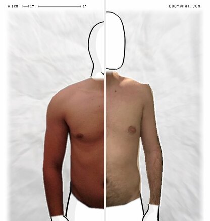 Torso Comparison