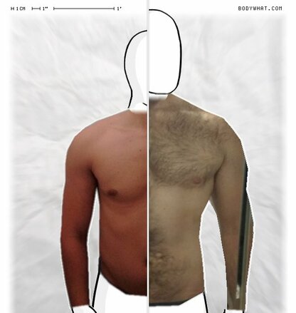 Torso Comparison