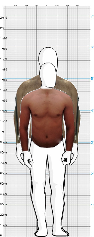 Full Size Comparison