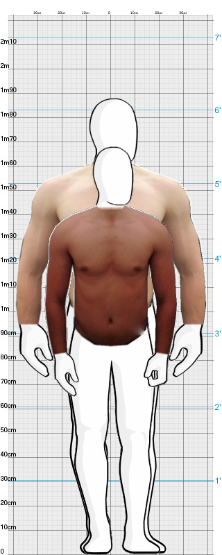 Full Size Comparison