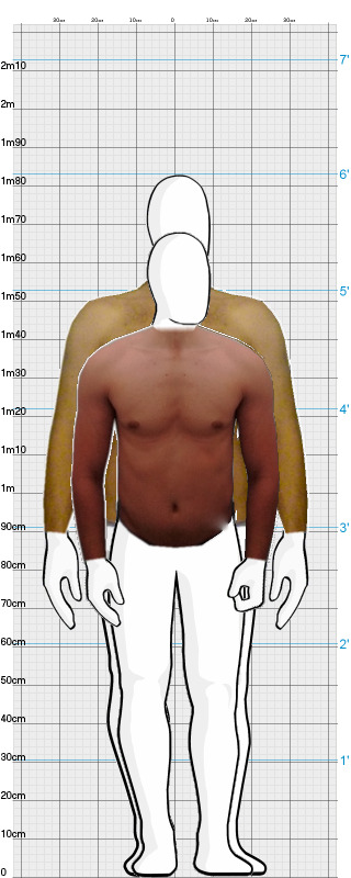 Full Size Comparison