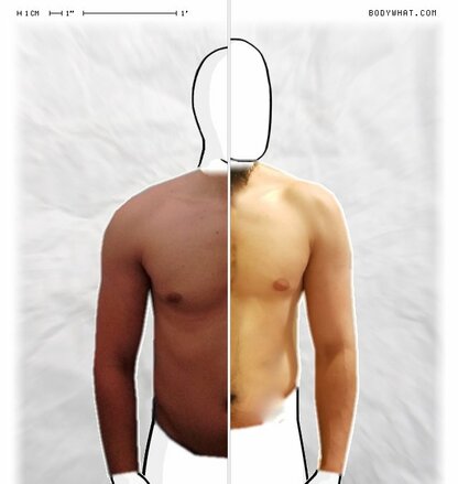 Torso Comparison