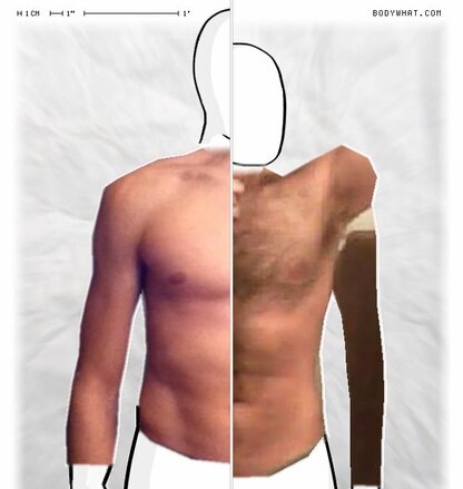 Torso Comparison