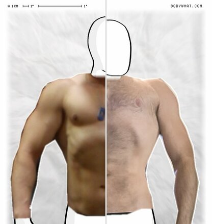 Torso Comparison