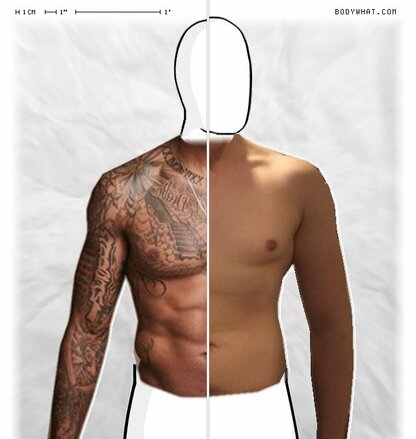 Torso Comparison