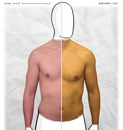 Torso Comparison