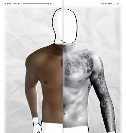 Torso Comparison