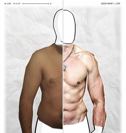 Torso Comparison