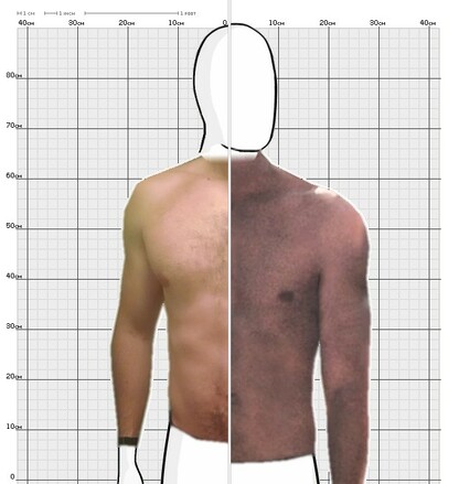 Torso Comparison