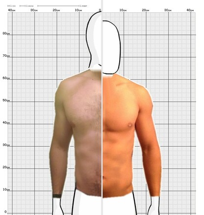 Torso Comparison