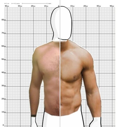 Torso Comparison