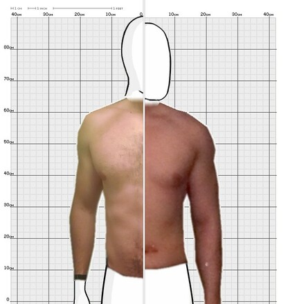 Torso Comparison