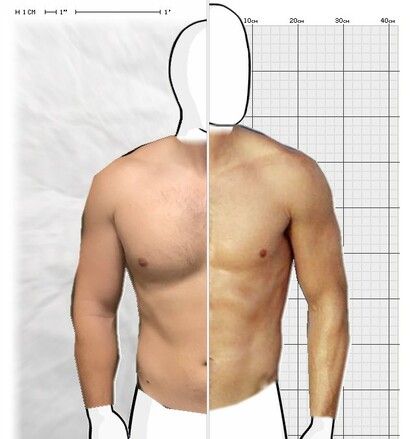 Torso Comparison