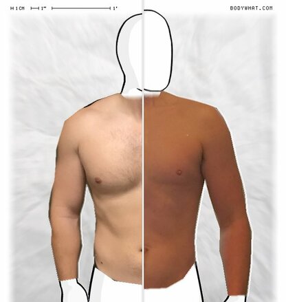 Torso Comparison