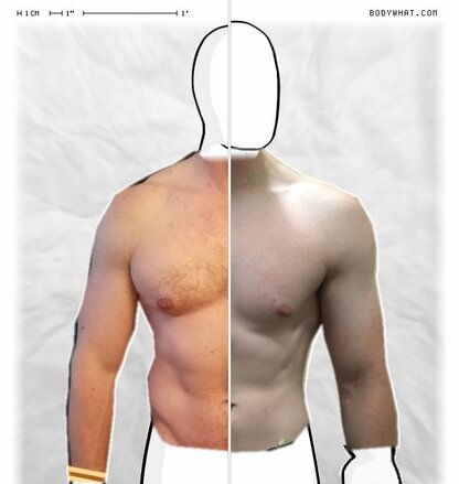 Torso Comparison