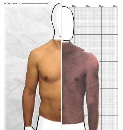 Torso Comparison