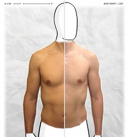 Torso Comparison