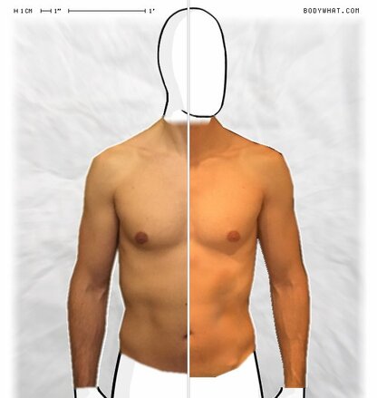 Torso Comparison