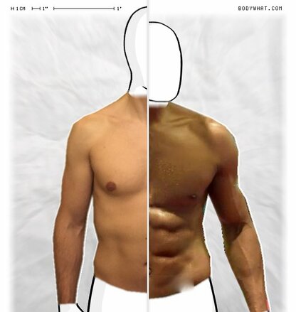 Torso Comparison