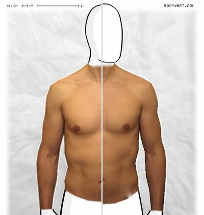 Torso Comparison