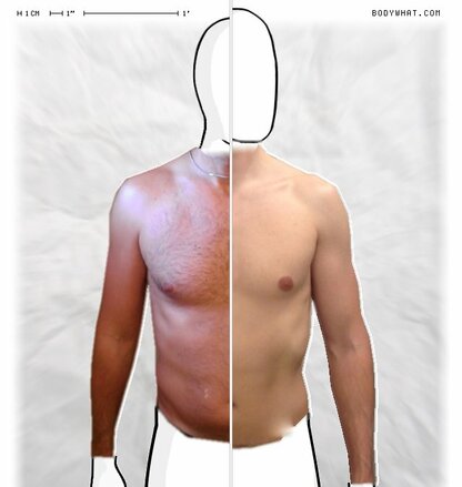 Torso Comparison