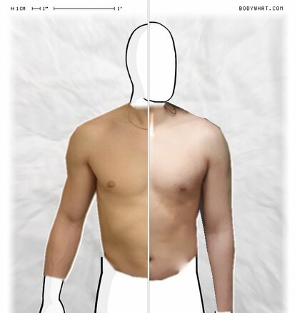 Torso Comparison