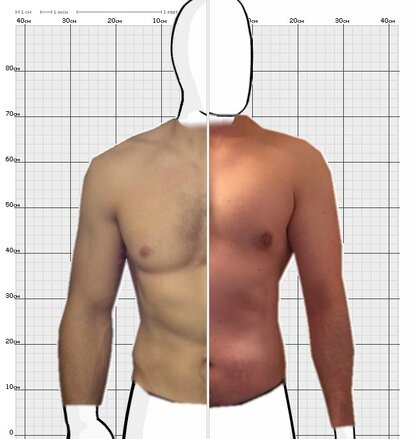 Torso Comparison