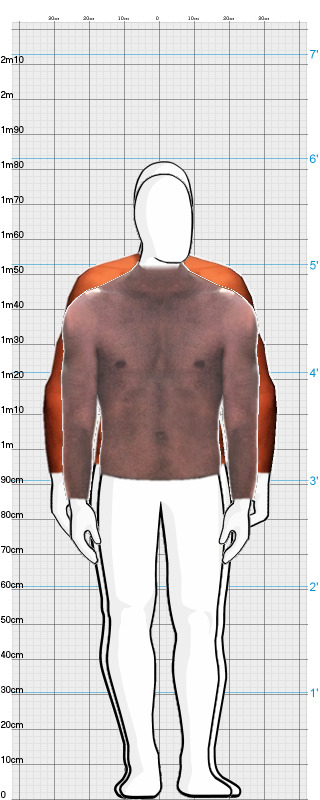 Full Size Comparison