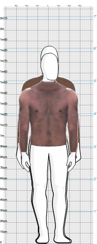 Full Size Comparison