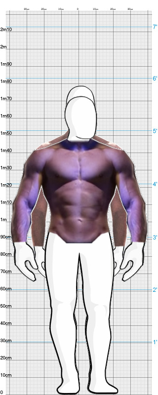Full Size Comparison