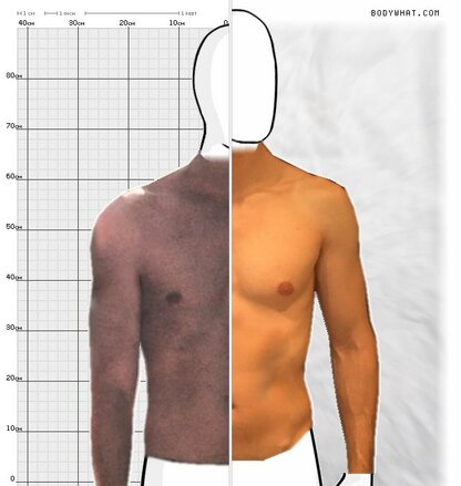 Torso Comparison