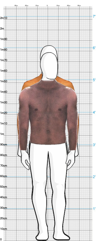 Full Size Comparison