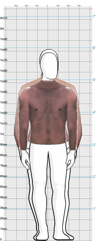 Full Size Comparison