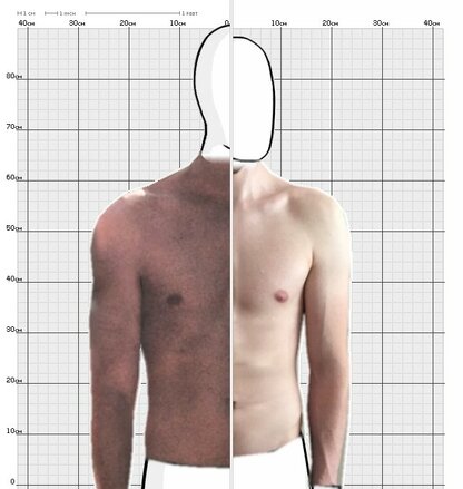 Torso Comparison