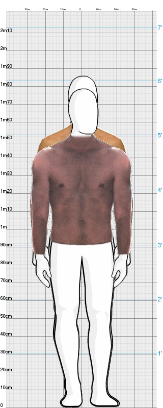 Full Size Comparison