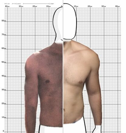 Torso Comparison