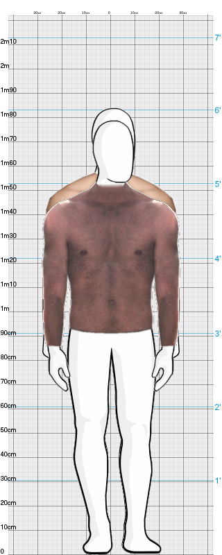 Full Size Comparison