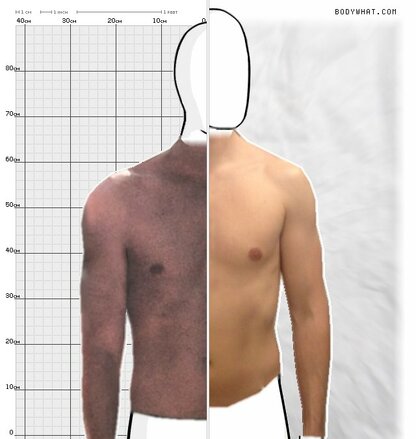 Torso Comparison