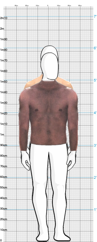 Full Size Comparison