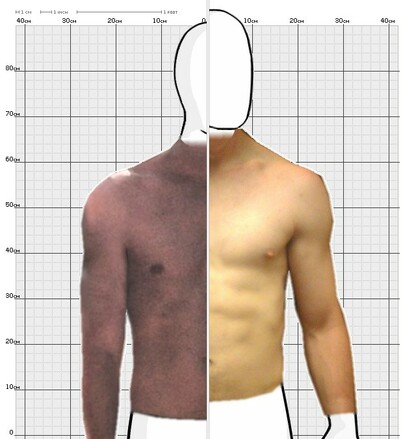 Torso Comparison