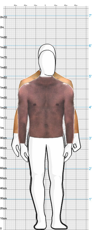 Full Size Comparison