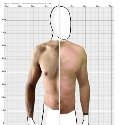 Torso Comparison