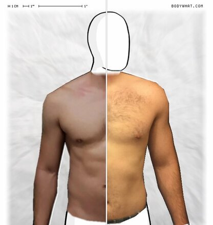 Torso Comparison