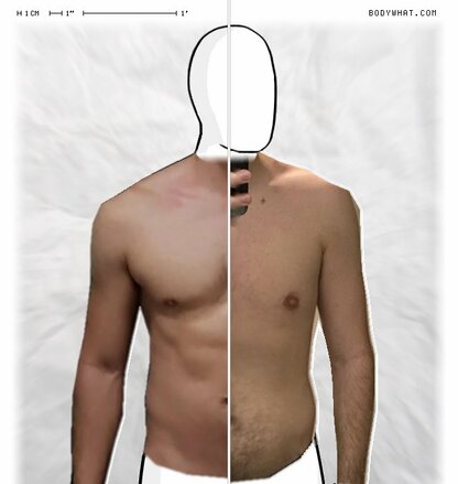 Torso Comparison