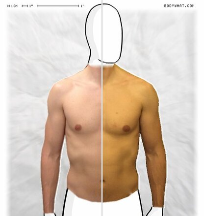 Torso Comparison